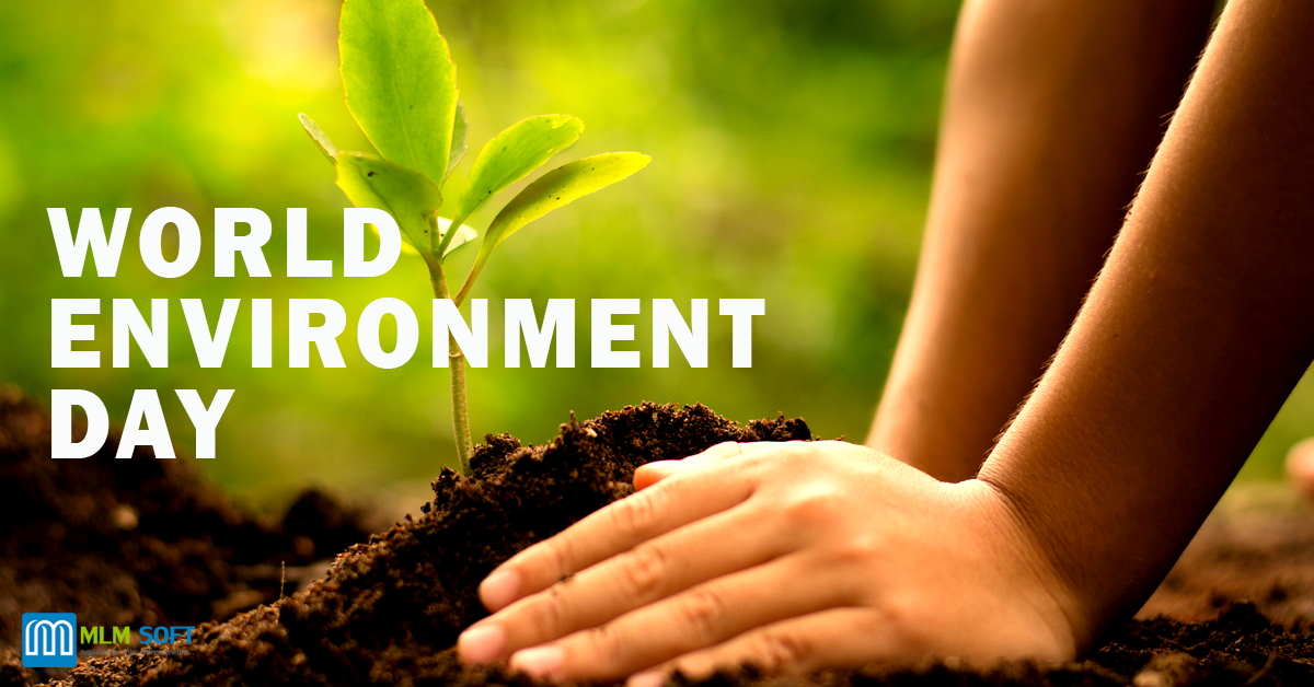 Why Celebrate World Environment Day?