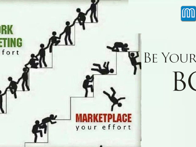 Network marketing and career opportunity